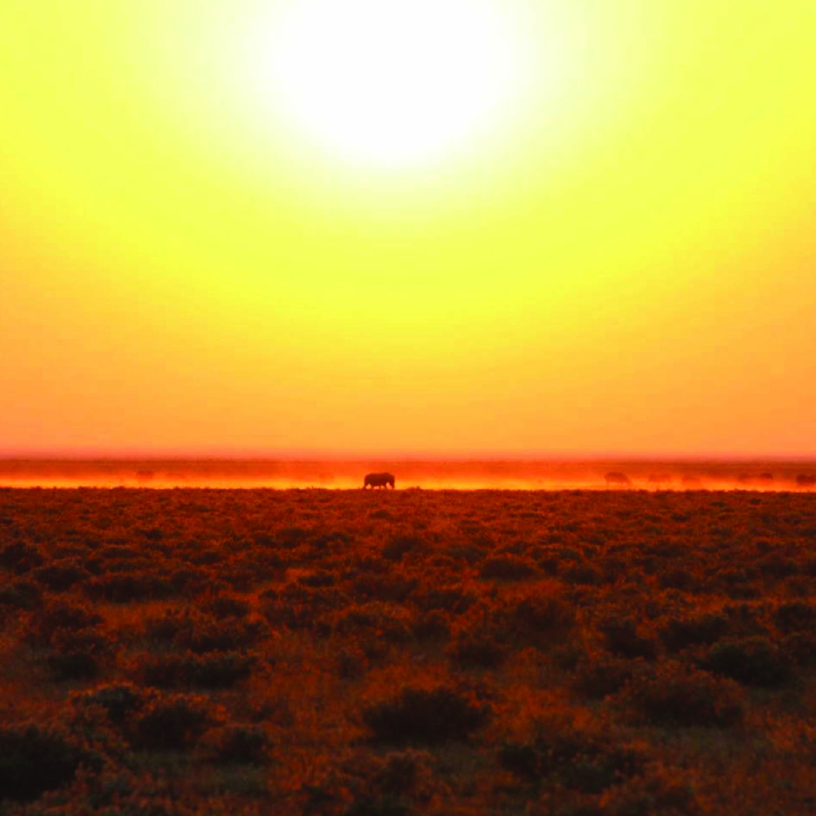 Savuti Travel_Namibia-02