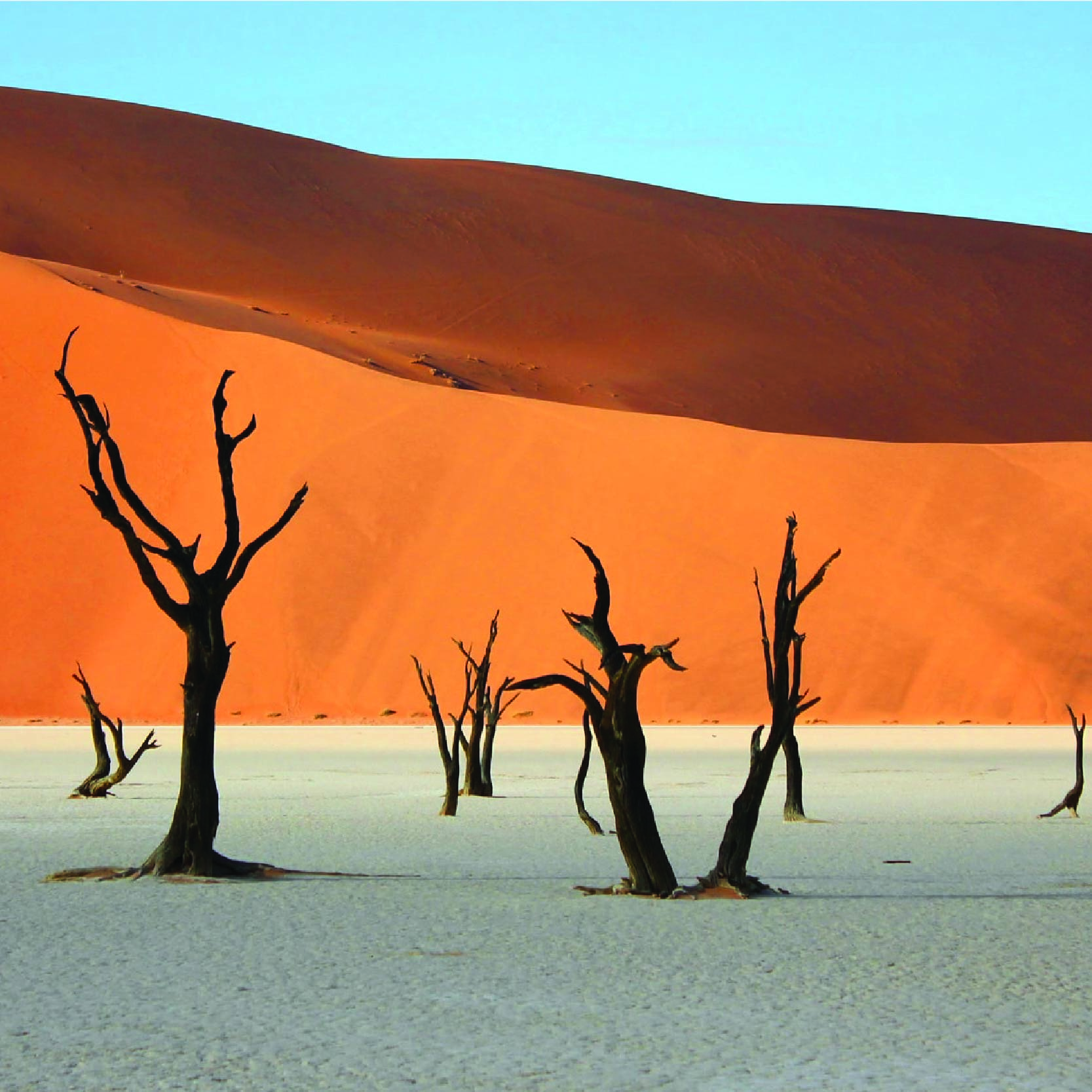 Savuti Travel_Namibia-03