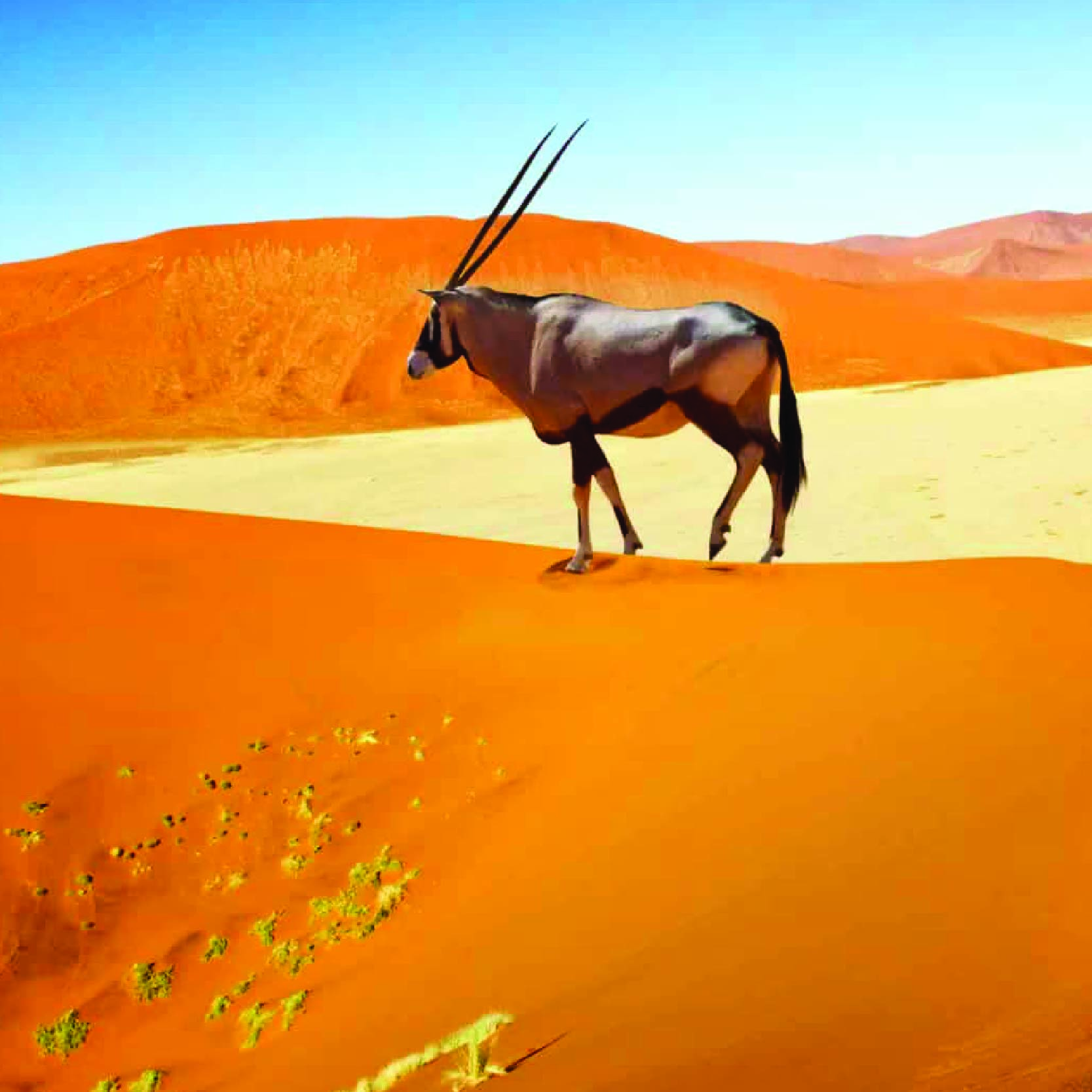 Savuti Travel_Namibia-04